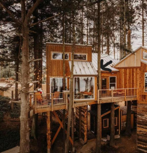 Treehouse-Small Eagles Perch over the water